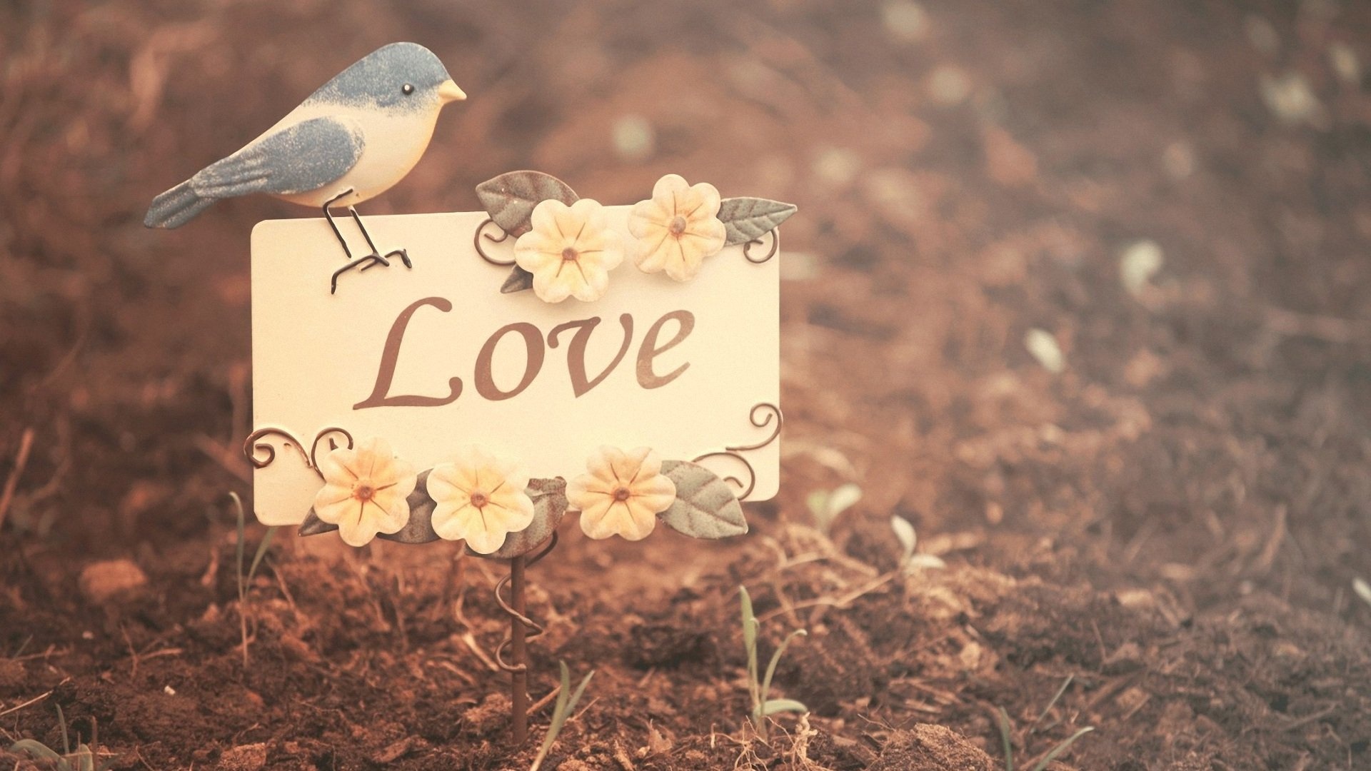 I am married, but not happy.